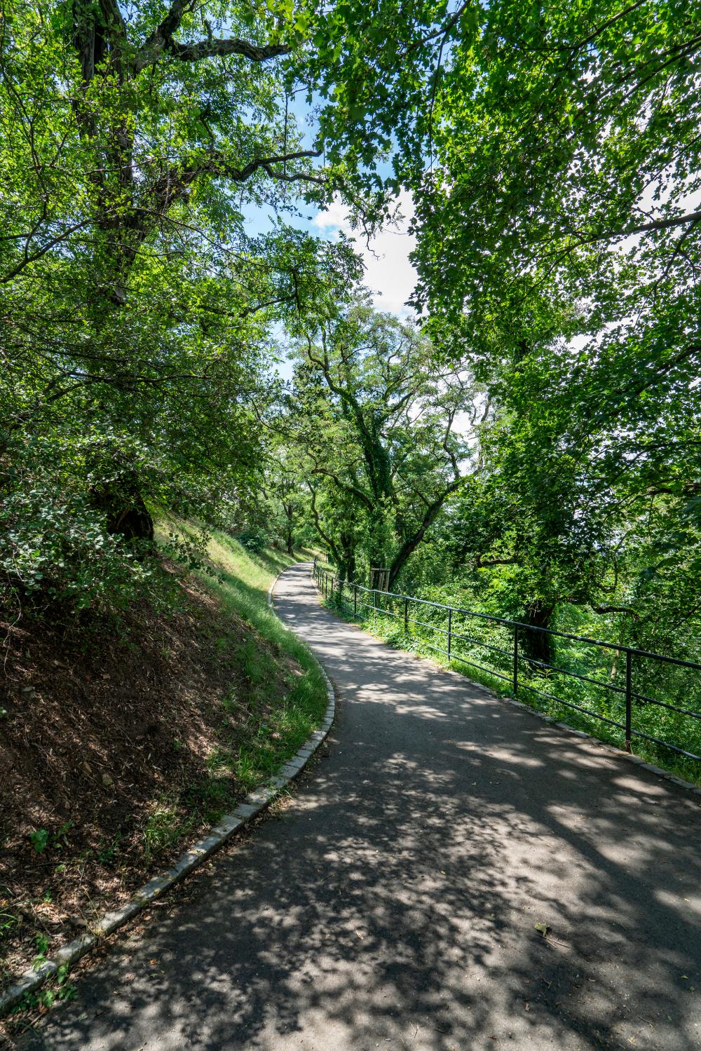 park na vrchu Vítkově, obnovená severní cesta, 2018