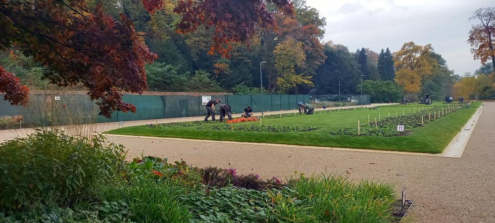 3200555_Podzimní proměna květinových záhonů na parteru před Šlechtovou restaurací