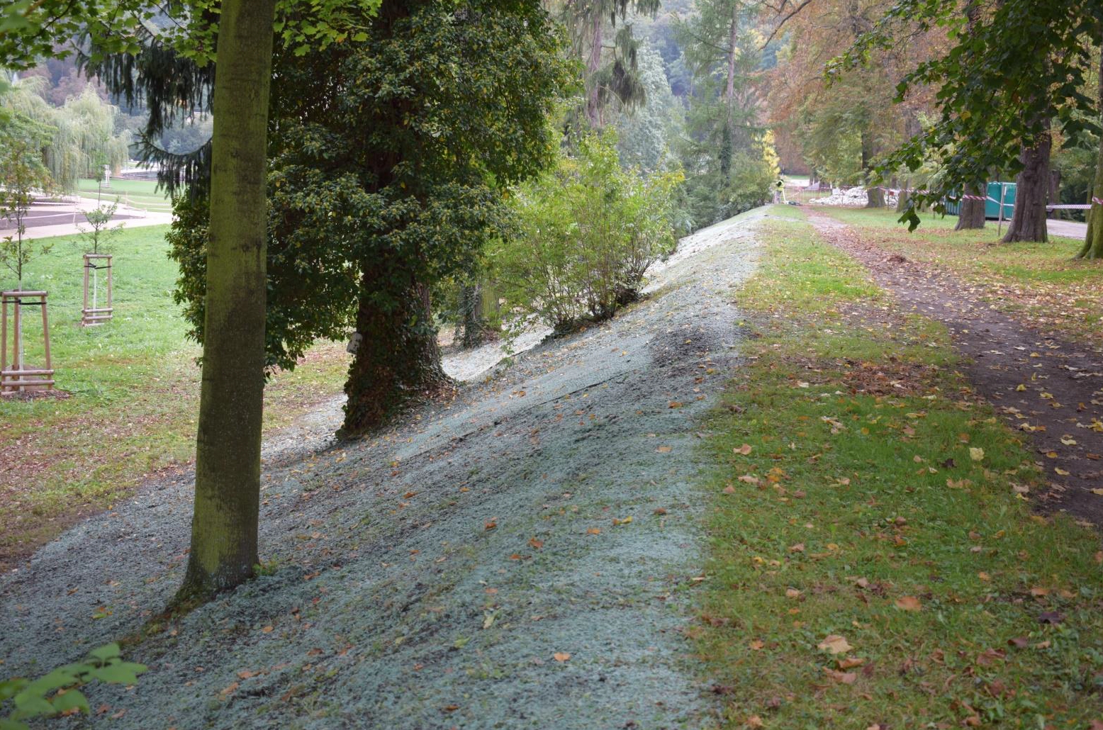 Nástřik hydroosevu na ornici a prořezanou travní plochu, Stromovka 2017, ilustr. foto