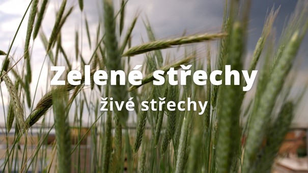 projekt Zelené střechy - živé střechy