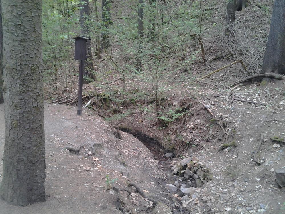 1883910_Pražské studánky - Urešova studánka, 2014