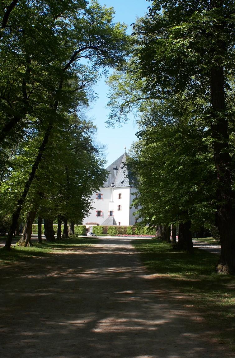 Pohled na Letohrádek skrz stromořadí