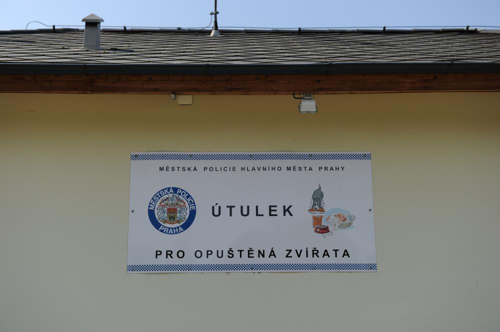 933006_2011-08-22 - Návštěva největšího útuleku na území hlavního města Prahy