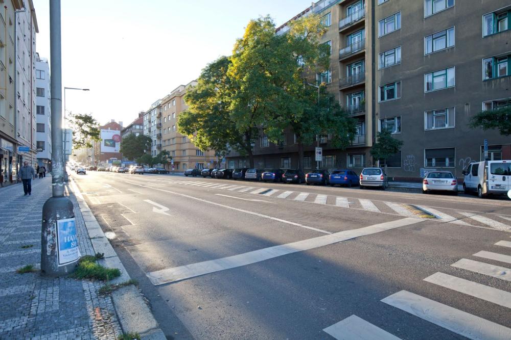 Spodní část Veletržní si v současnosti nárokuje příliš široký prostor pro vozovku, který je současně z dopravního hlediska nevyužitý.