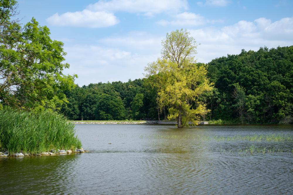 3323923_Krajinný park Lítožnice