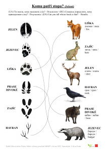 EVVO infomateriály pro děti - spojovačka - Stopy zvířat, ŘESENÍ, vícejazyčné rev6/2022 (pdf)