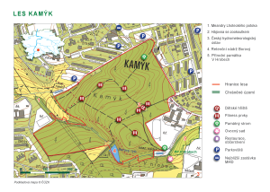 orientační mapa - les Kamýk, 2017