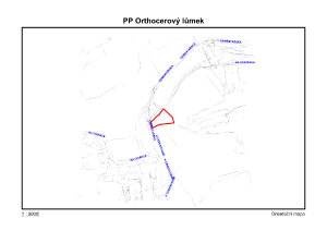 orthoclum_orient_pdf