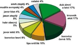 prokopadalejudoli_zastdrevin_jpg