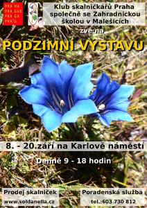 gentiana_sino_ornatapodzim08700_jpg