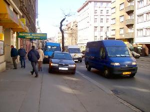 FOTO - Strom doslova obklíčený projíždějícími i parkujícími automobily