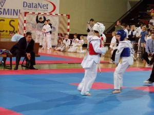 5.11.2005 &#8211;- 3. ročník Prague Open 2005 &#8211; taekwondo se pořádal v SK Slavie Praha ve vršovickém Edenu. Soutěž se konala pod záštitou náměstka pražského primátora Petra Hul