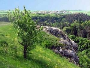 ilustrační foto (Přírodní park Šárka-Lysolaje)