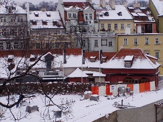 na kampě - odstraněná kráva