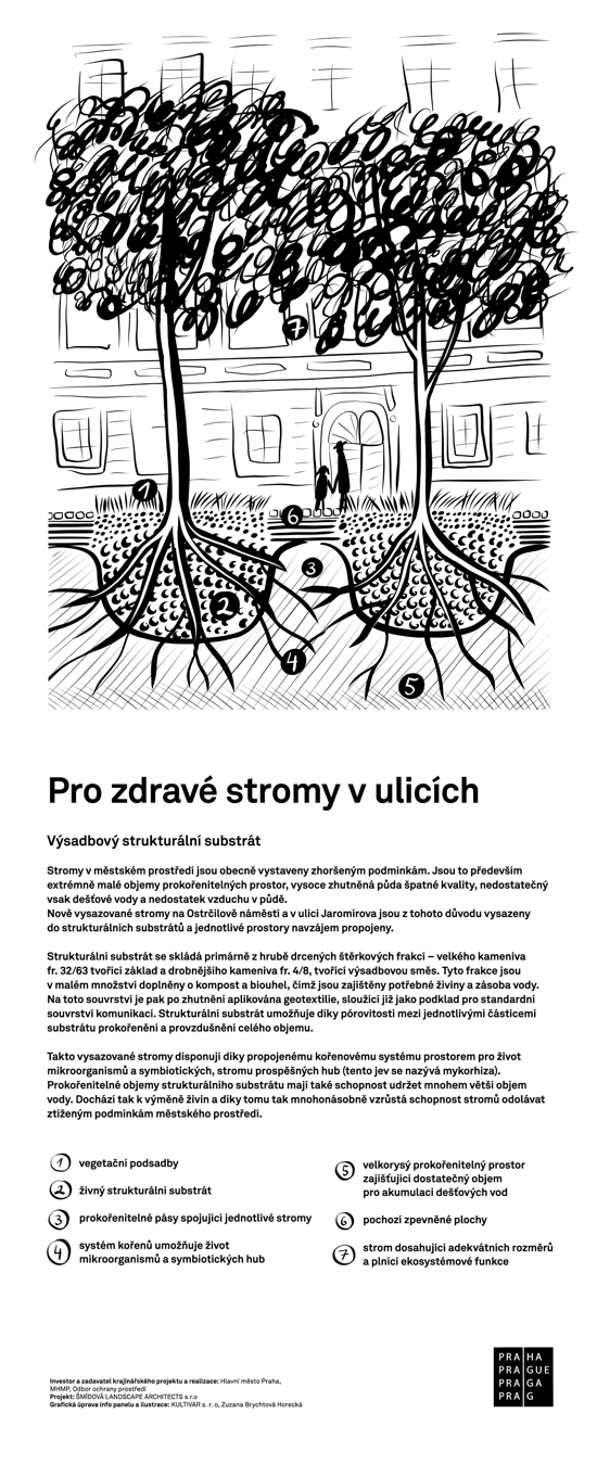 Výsadba listnatých stromů na Ostrčilově náměstí, infopanel Pro zdravé stromy v ulicích, jpeg náhled