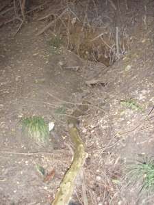 Pražské studánky - Pekařka - fotogalerie