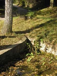 Pražské studánky - U rybníka - fotogalerie