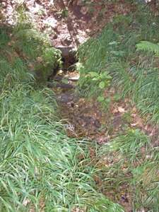 Pražské studánky - V Modřanské rokli